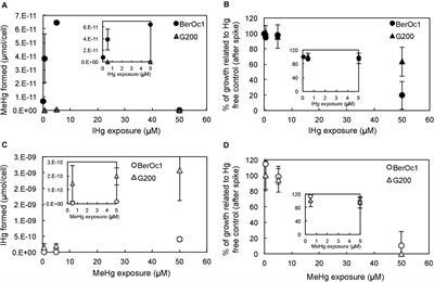 Relationship Between Hg Speciation and Hg Methylation/Demethylation Processes in the Sulfate-Reducing Bacterium Pseudodesulfovibrio hydrargyri: Evidences From HERFD-XANES and Nano-XRF